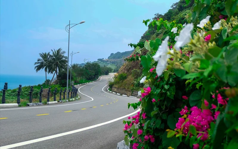 The road to travel to Son Tra Peninsula is one of the most scenic roads in Da Nang