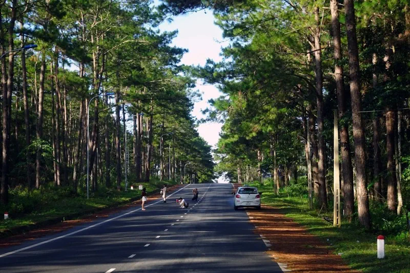 Con đường rừng thông Măng Đen
